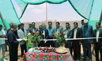افتتاح گلخانه تابع اقلیم با حضور کریم ذوالفقاری رییس مرکز توسعه مکانیزاسیون و صنایع کشاورزی