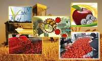 سهم 60 درصدی ارزش صادرات بخش صنایع تبدیلی و غذایی
