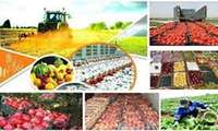 فعالیت بی‌وقفه صنایع تبدیلی و غذایی برای پاسخگویی به نیاز مردم