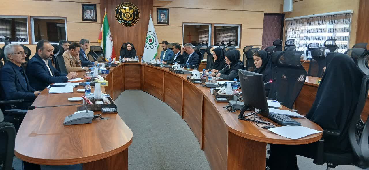 نظام‌مندسازی صادرات کیوی/ از سامانه یکتا برای حفظ و توسعه بازارهای جهانی بهره‌گیری شود