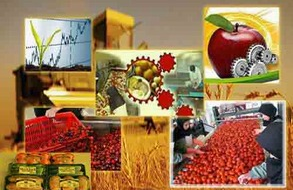 اولویت های سرمایه گذاری در صنایع تبدیلی و غذایی
